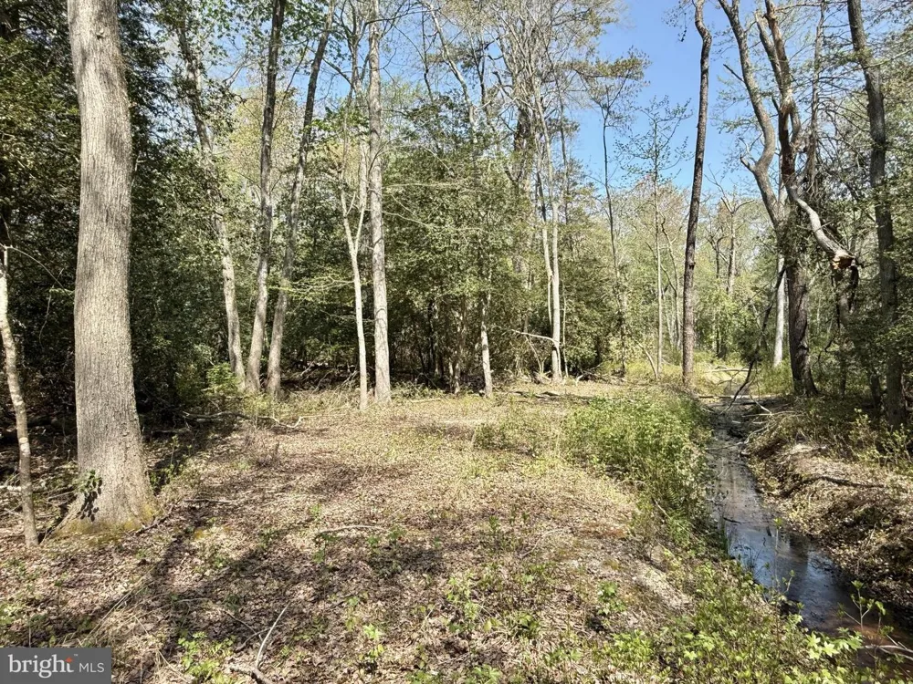 4196 ROUTE 47 Leesburg, NJ 08327