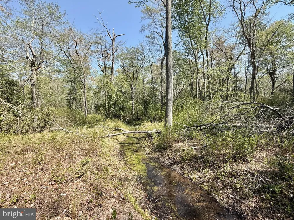 4196 ROUTE 47 Leesburg, NJ 08327