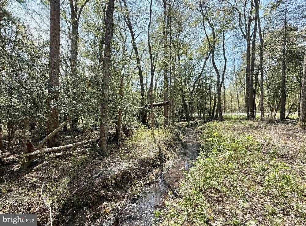 4196 ROUTE 47 Leesburg, NJ 08327