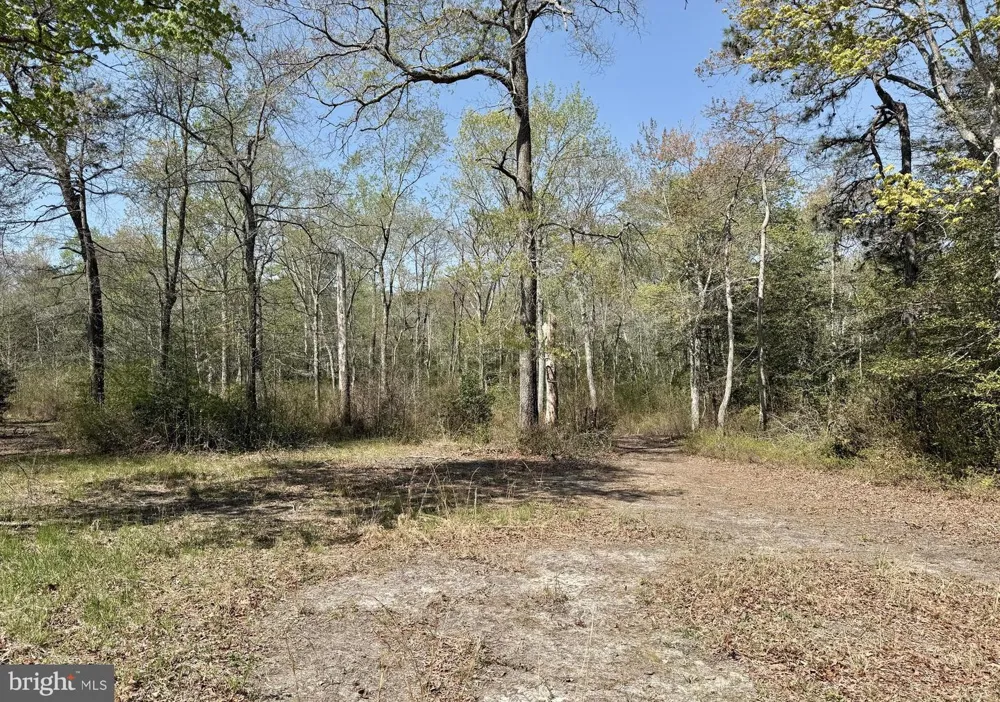 4196 ROUTE 47 Leesburg, NJ 08327