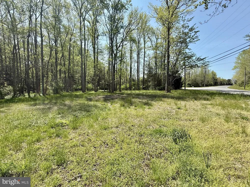 4196 ROUTE 47 Leesburg, NJ 08327