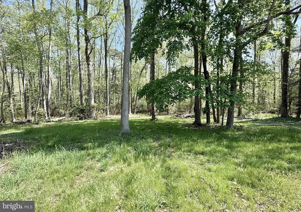 4196 ROUTE 47 Leesburg, NJ 08327