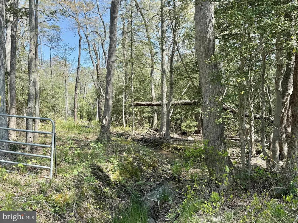 4196 ROUTE 47 Leesburg, NJ 08327