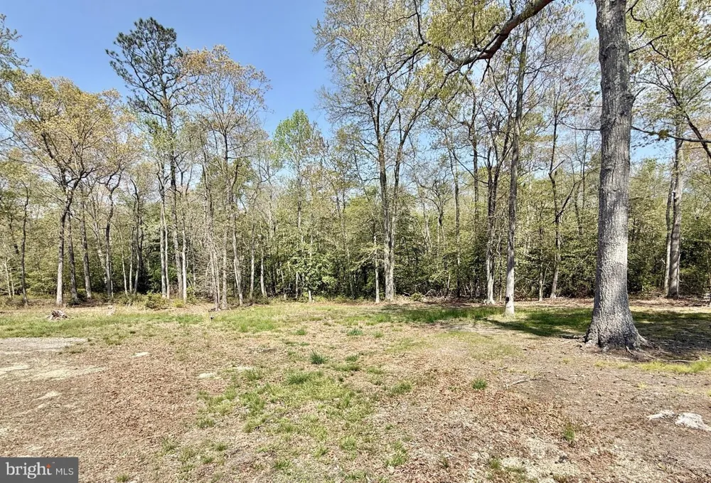 4196 ROUTE 47 Leesburg, NJ 08327