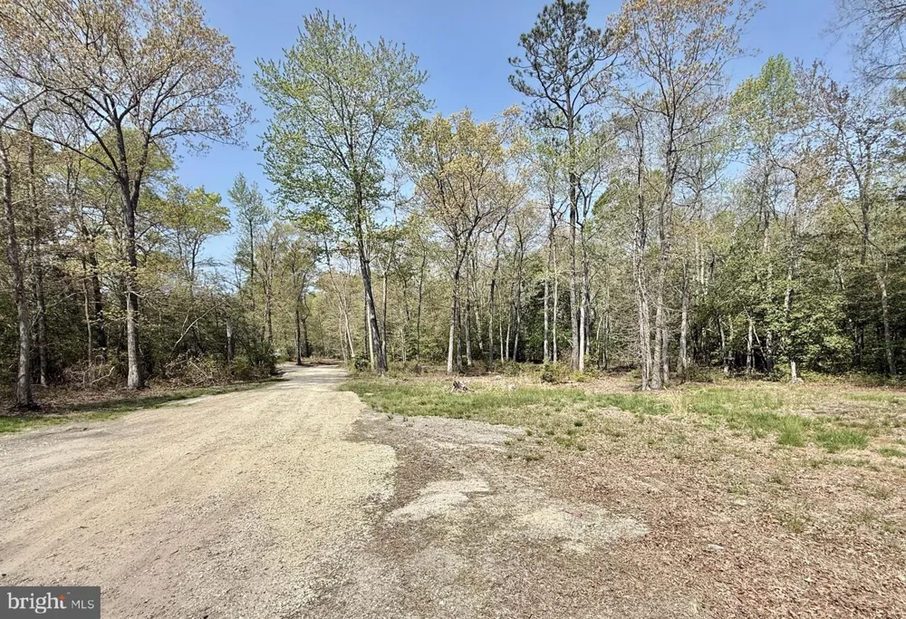 4196 ROUTE 47 Leesburg, NJ 08327