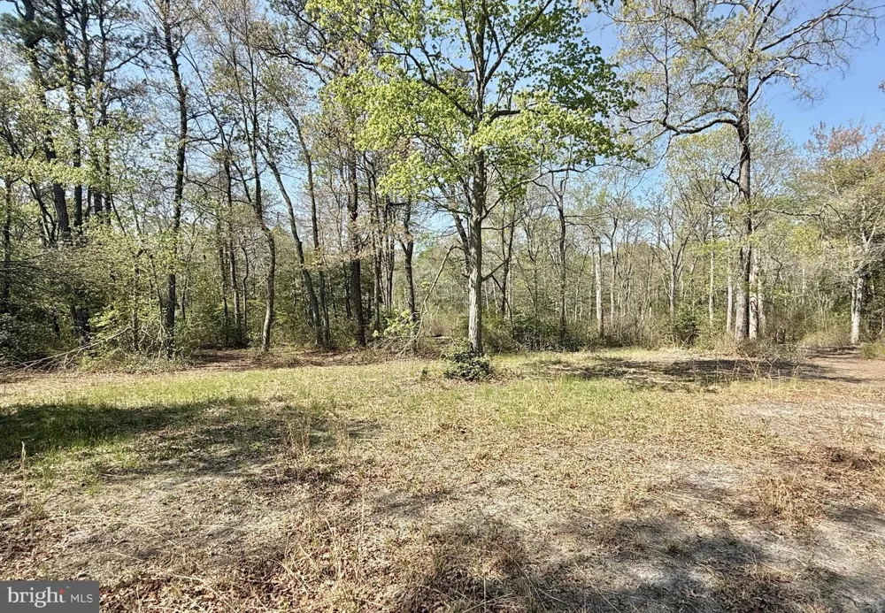 4196 ROUTE 47 Leesburg, NJ 08327