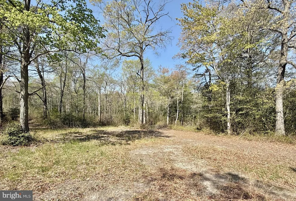 4196 ROUTE 47 Leesburg, NJ 08327