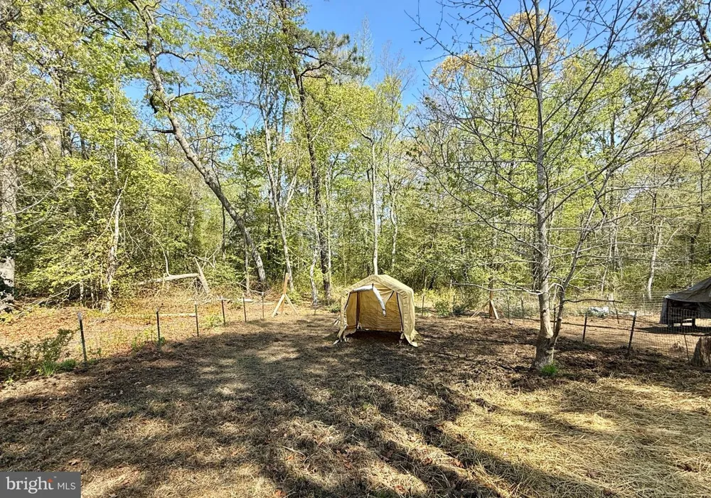 4196 ROUTE 47 Leesburg, NJ 08327