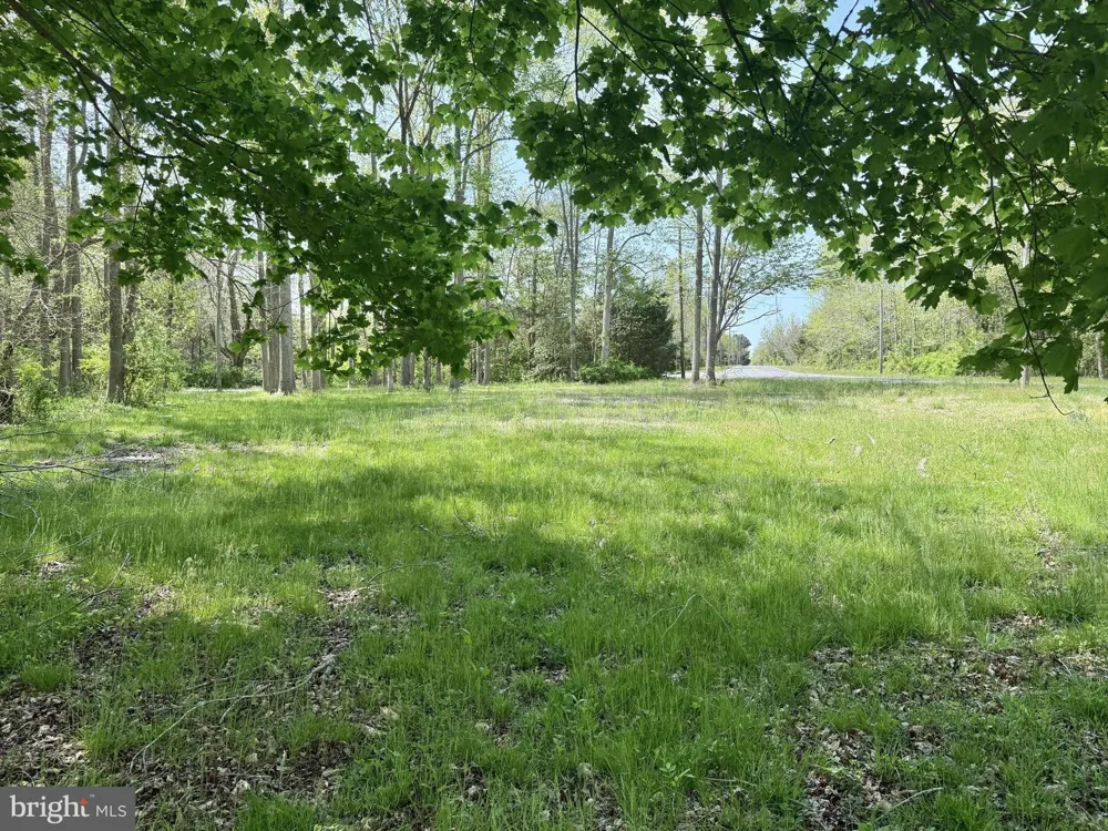 4196 ROUTE 47 Leesburg, NJ 08327
