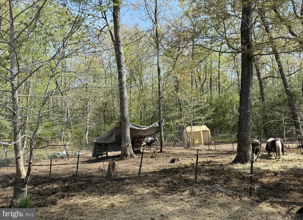 4196 ROUTE 47 Leesburg, NJ 08327