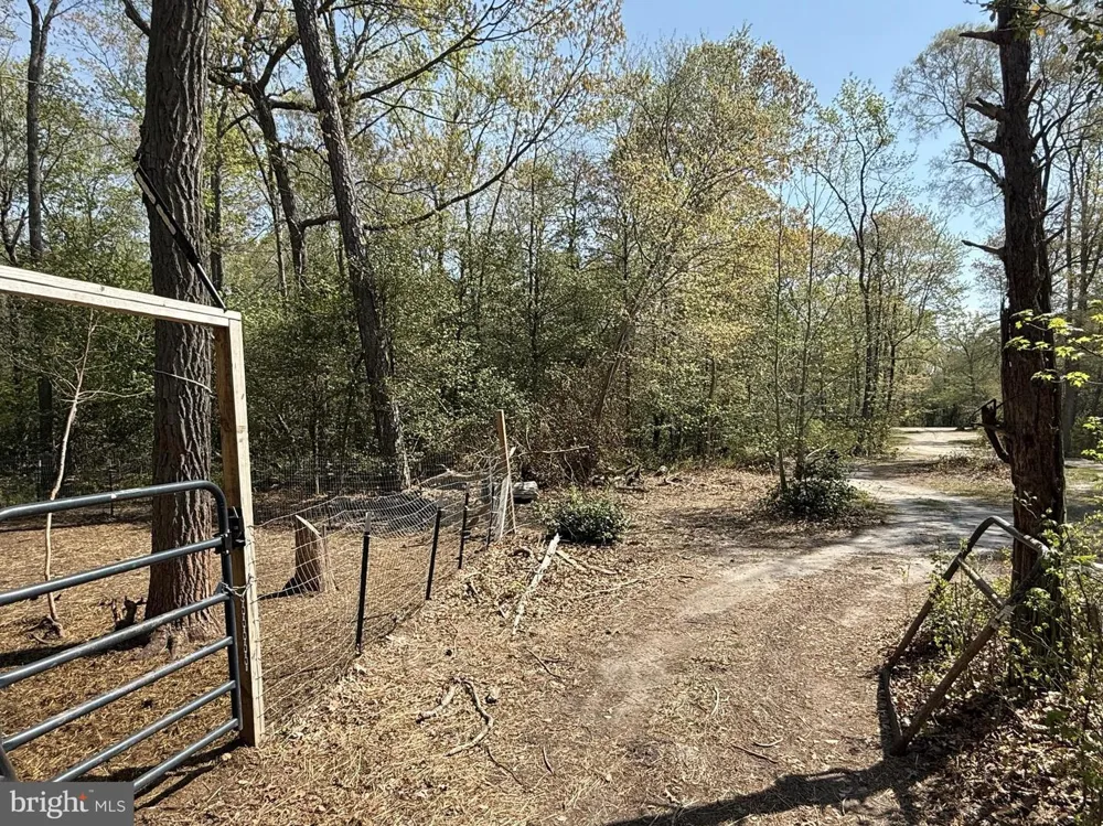 4196 ROUTE 47 Leesburg, NJ 08327
