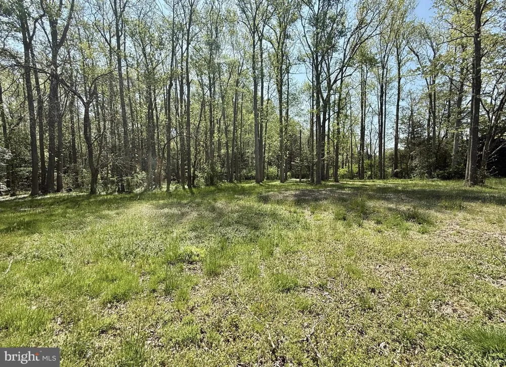 4196 ROUTE 47 Leesburg, NJ 08327