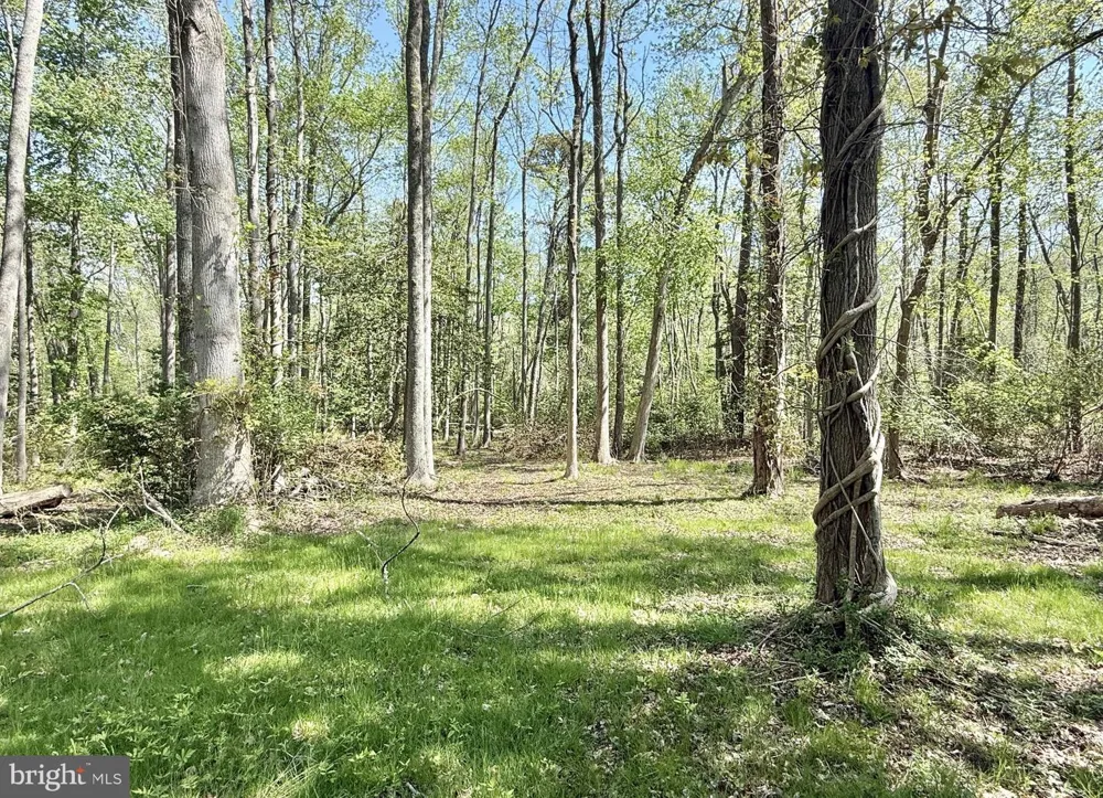 4196 ROUTE 47 Leesburg, NJ 08327