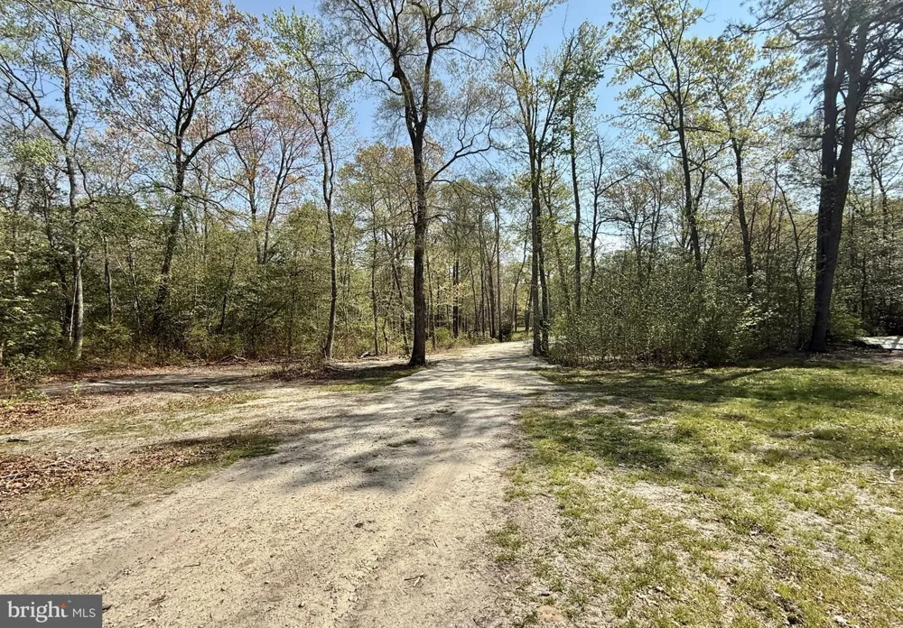 4196 ROUTE 47 Leesburg, NJ 08327