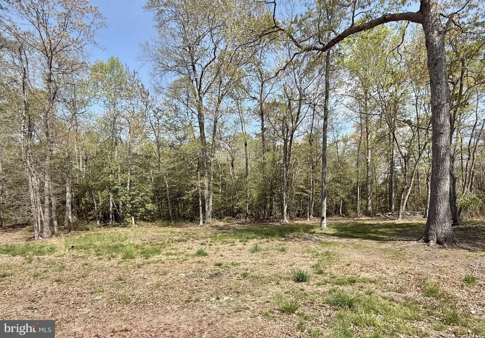 4196 ROUTE 47 Leesburg, NJ 08327