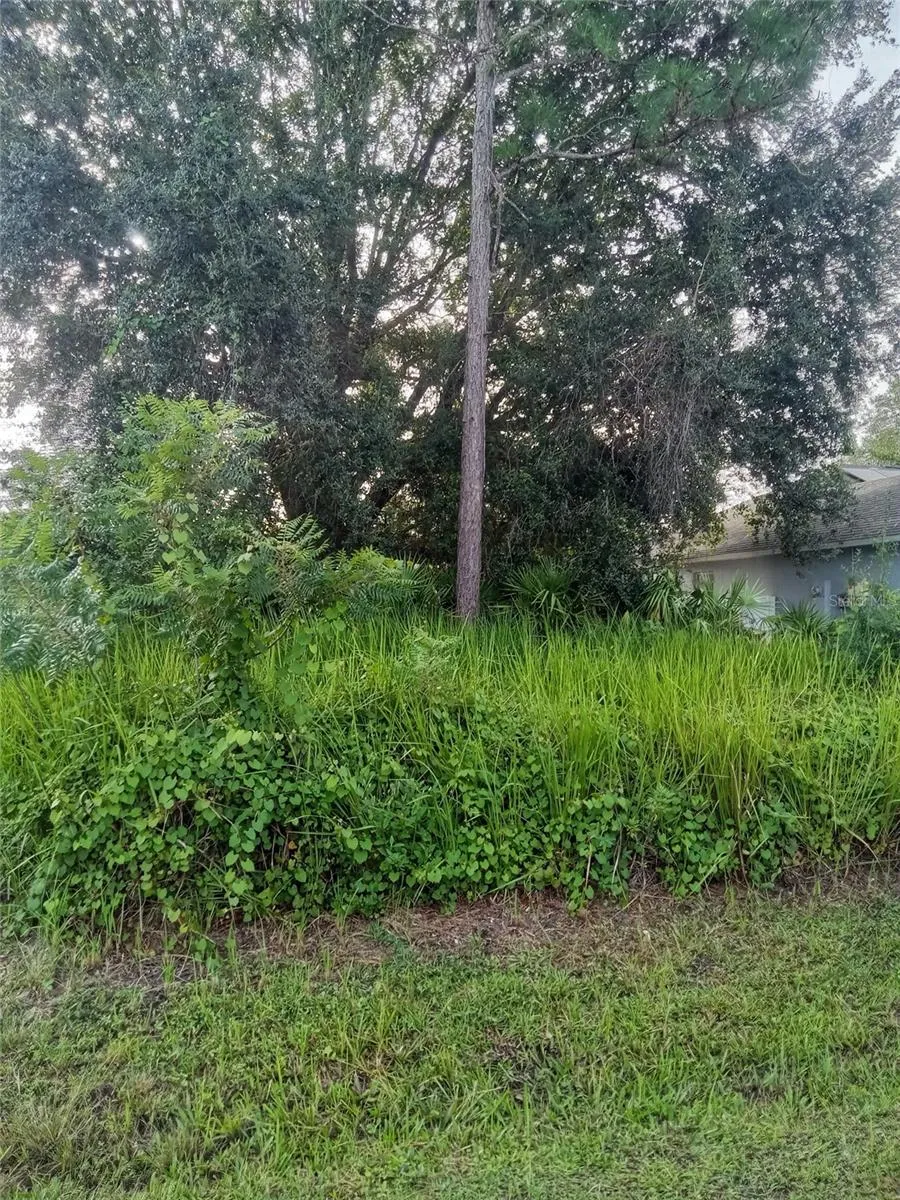 MARICOPA DRIVE Kissimmee, FL 34758