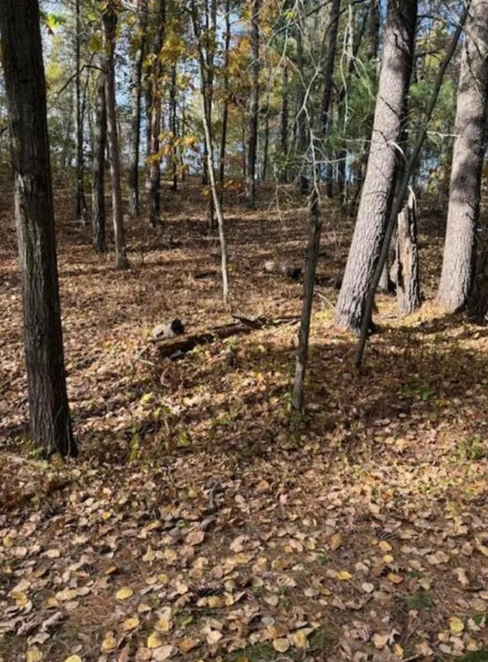 1380 Little John Road Nisswa, MN 56468