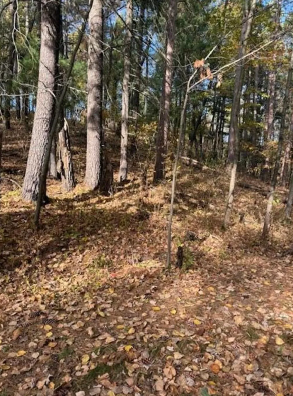 1380 Little John Road Nisswa, MN 56468