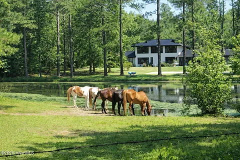 171 Dobbins Lane