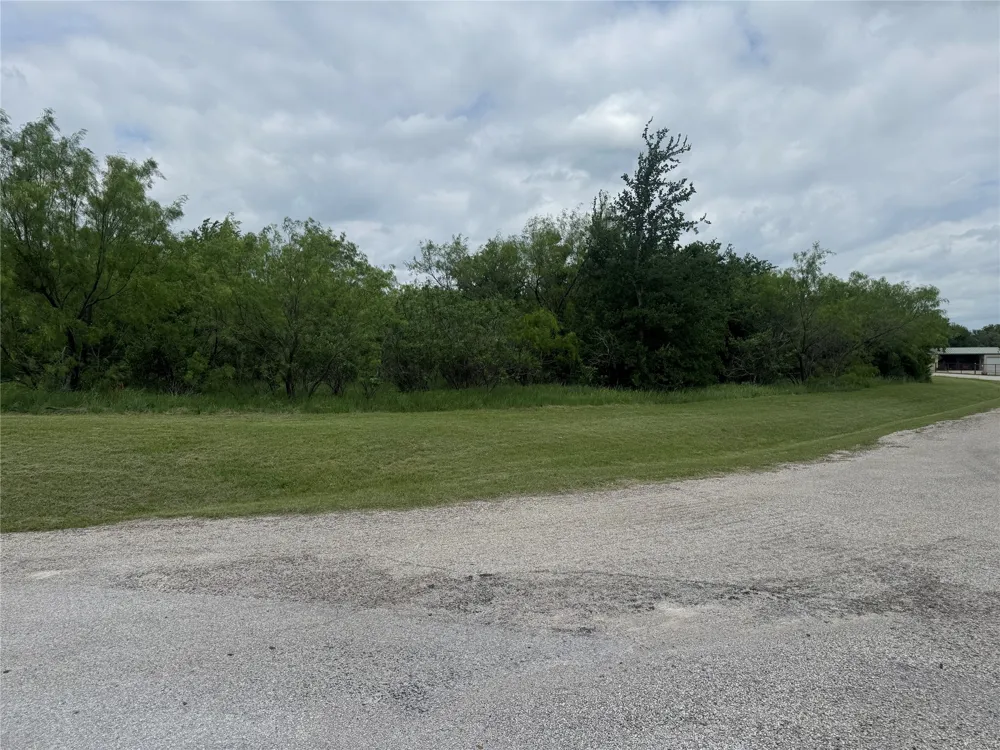 Dunn Drive Palo Pinto, TX 76484