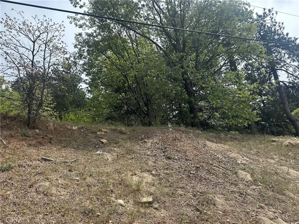 Deer Lick Lane Running Springs, CA 92382