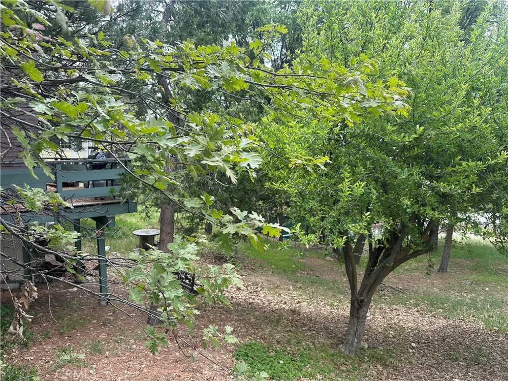 Deer Lick Lane Running Springs, CA 92382