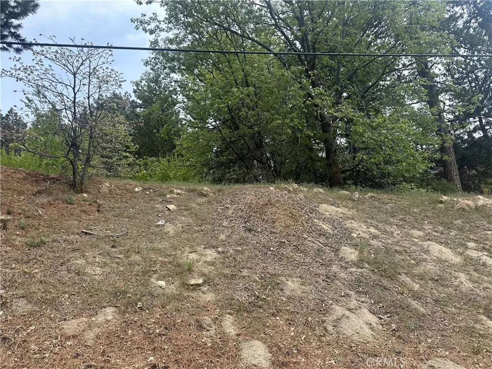 Deer Lick Lane Running Springs, CA 92382