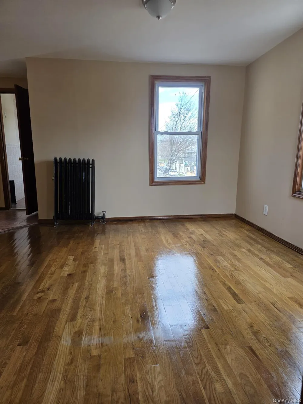 178-45 145th Road Springfield Gardens, NY 11434