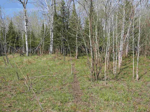 Hiawatha Trail