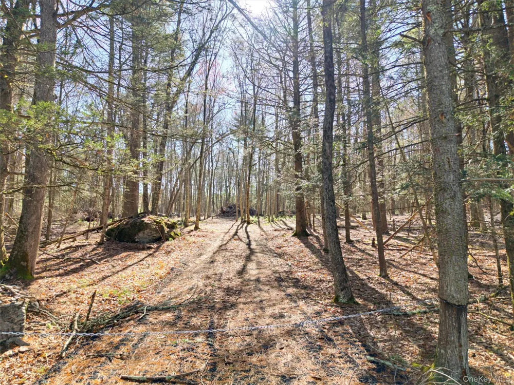 Crawford Road Eldred, NY 12528