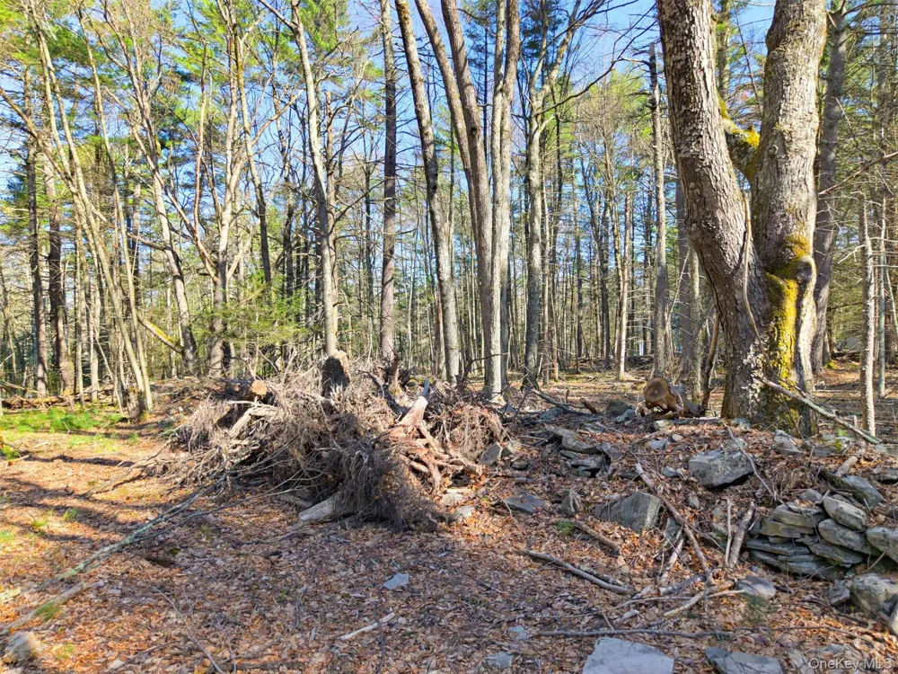 Crawford Road Eldred, NY 12528