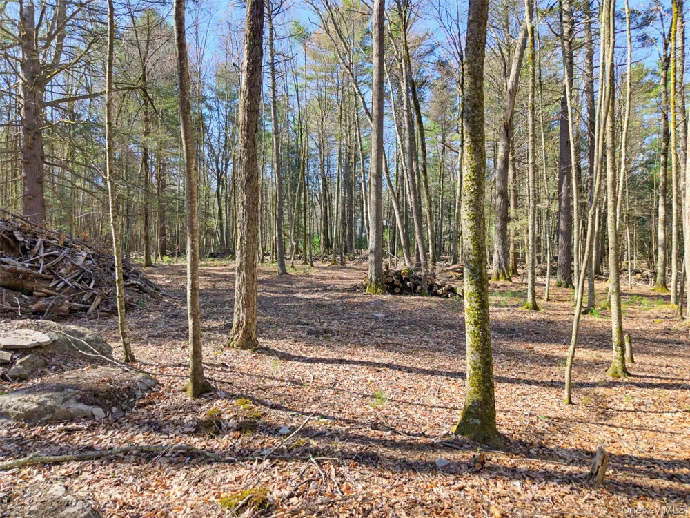 Crawford Road Eldred, NY 12528