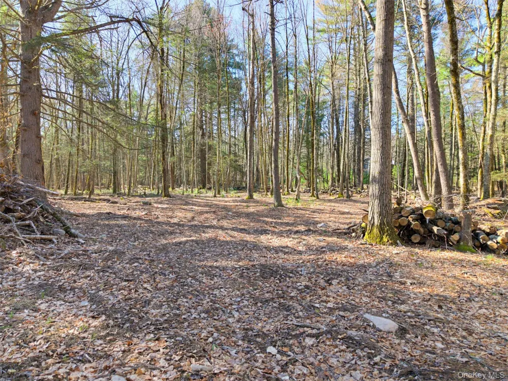 Crawford Road Eldred, NY 12528