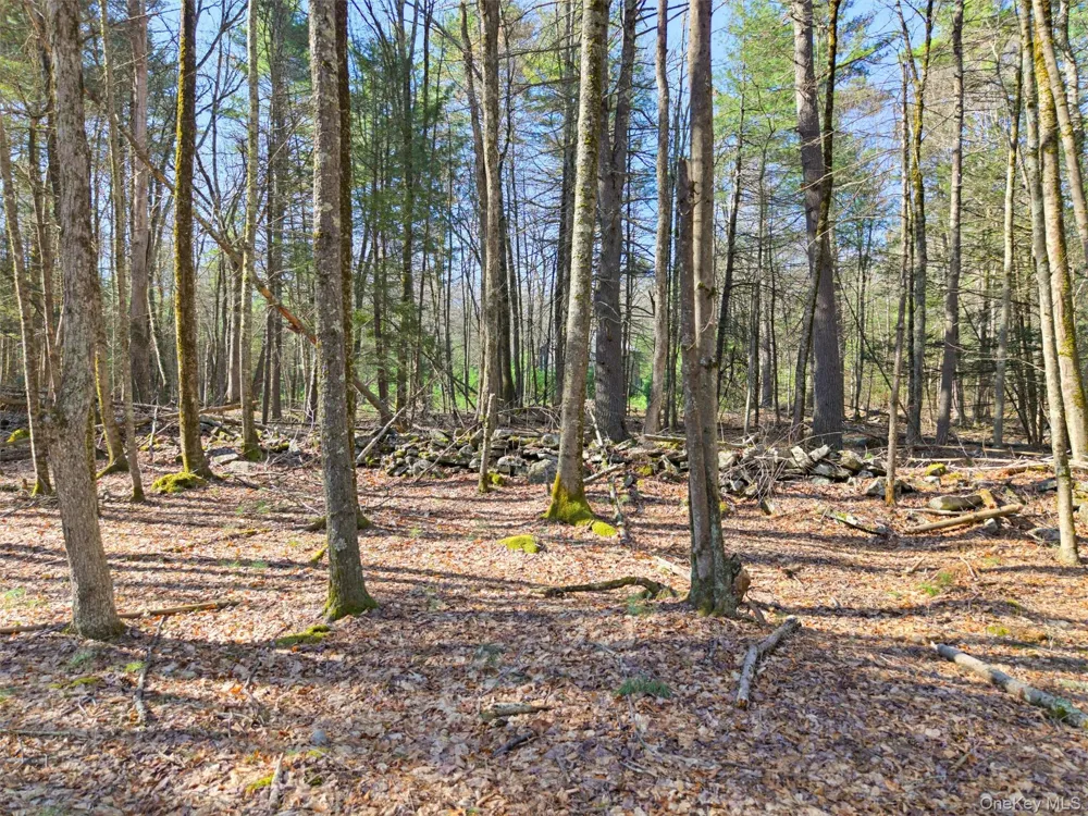 Crawford Road Eldred, NY 12528