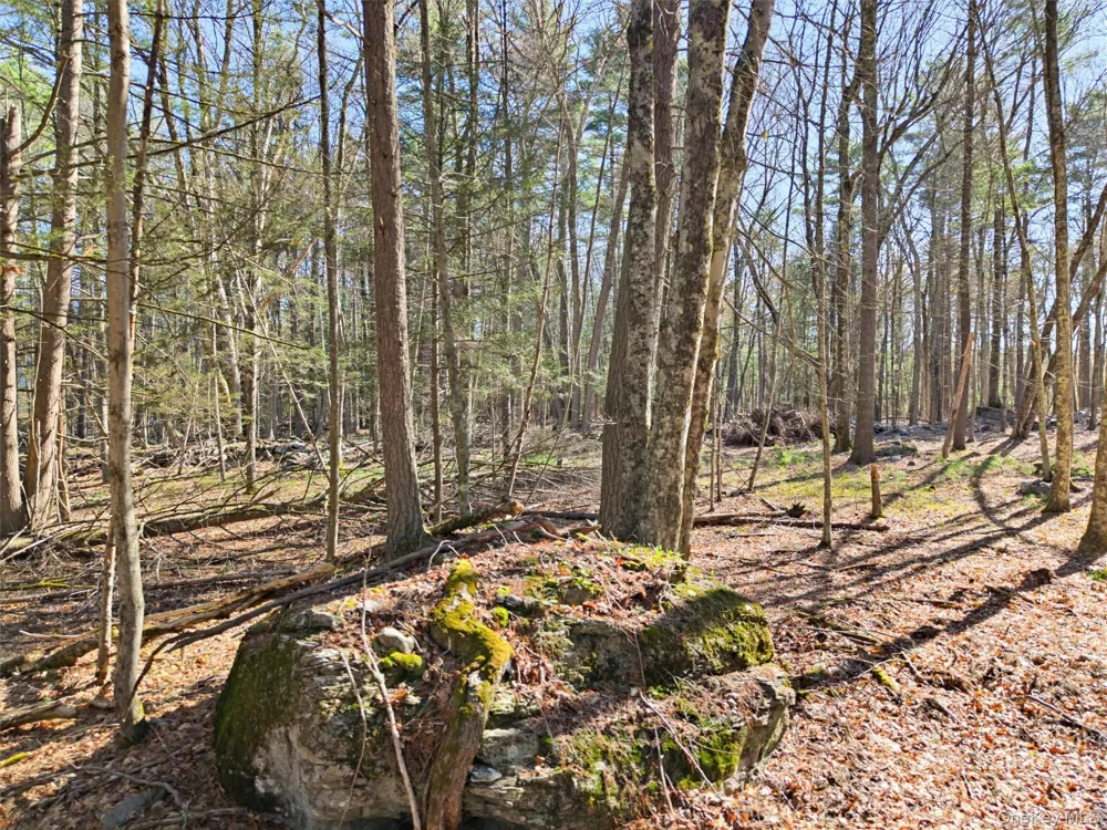 Crawford Road Eldred, NY 12528