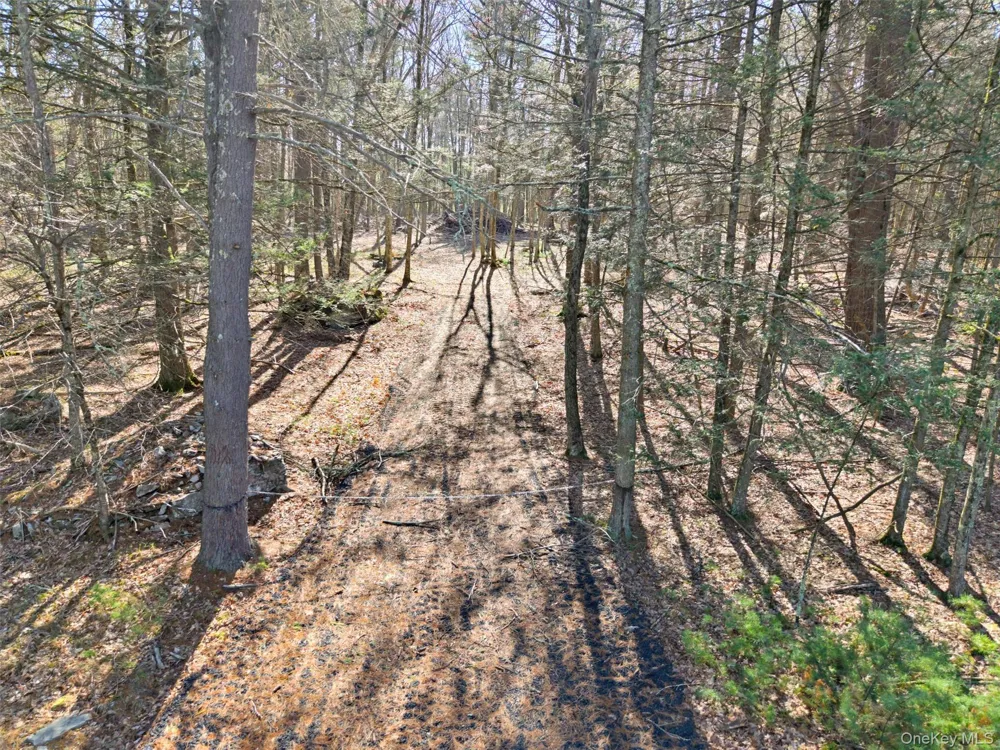 Crawford Road Eldred, NY 12528