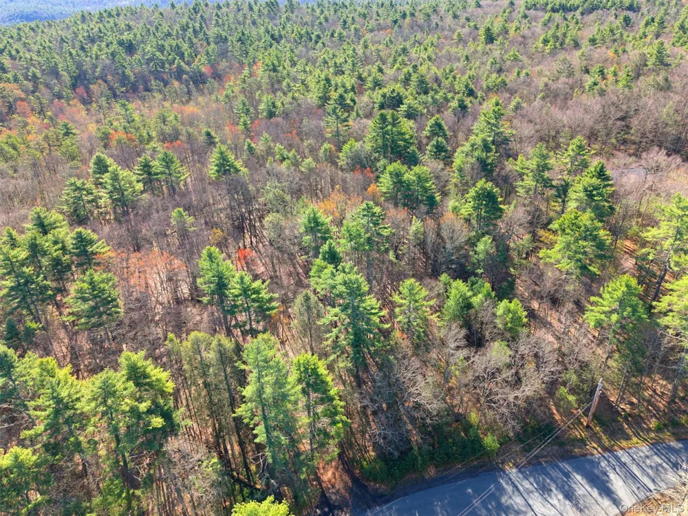 Crawford Road Eldred, NY 12528