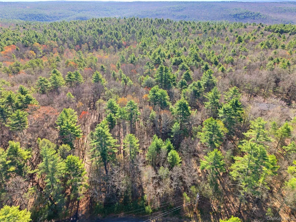 Crawford Road Eldred, NY 12528