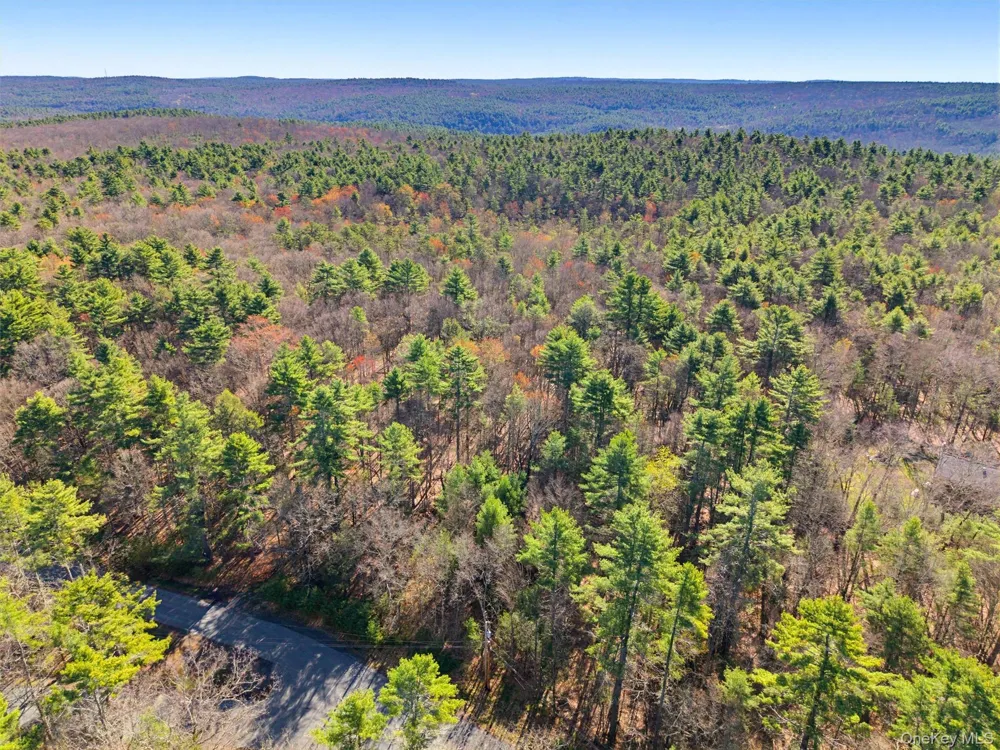 Crawford Road Eldred, NY 12528