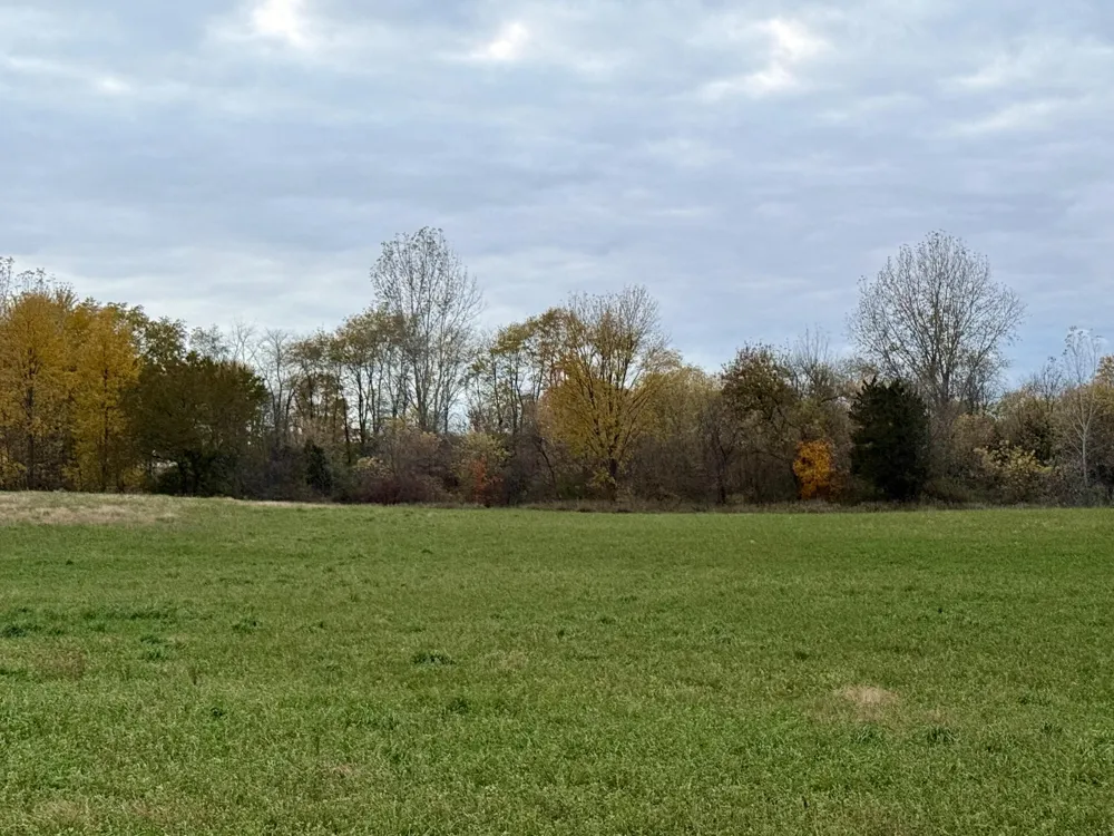 4584 34th Street Salem Township, MI 49464