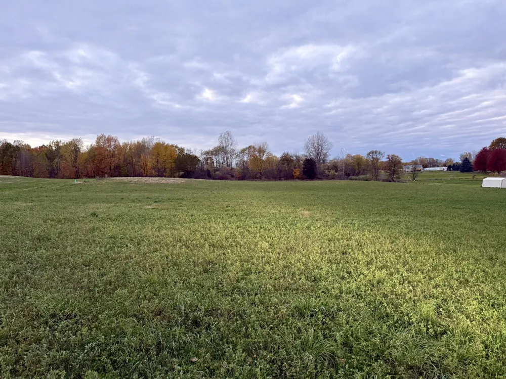 4584 34th Street Salem Township, MI 49464
