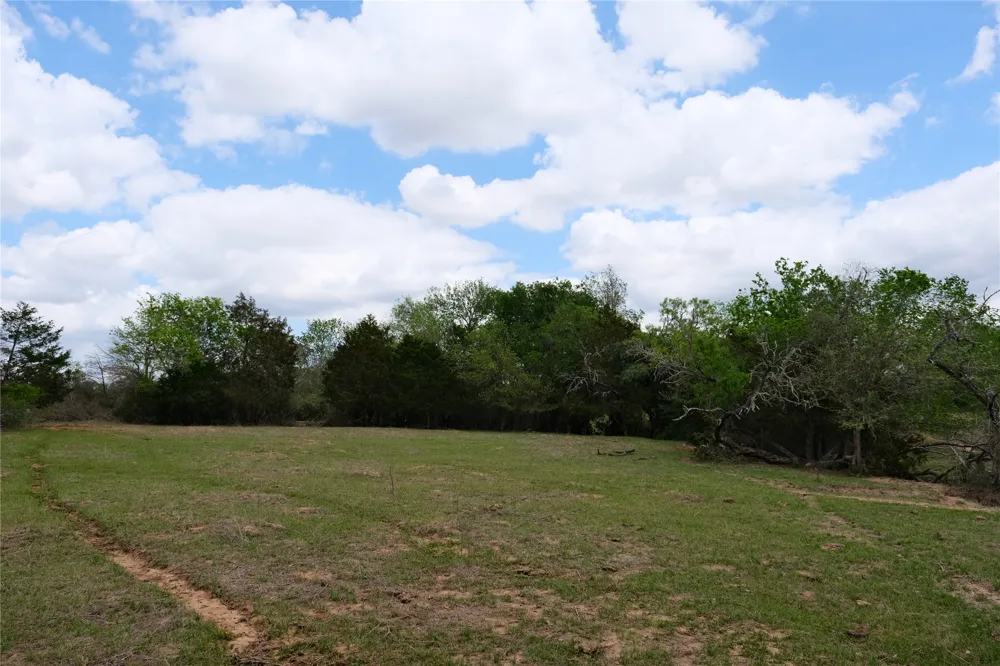 446 Herron Trail McDade, TX 78650