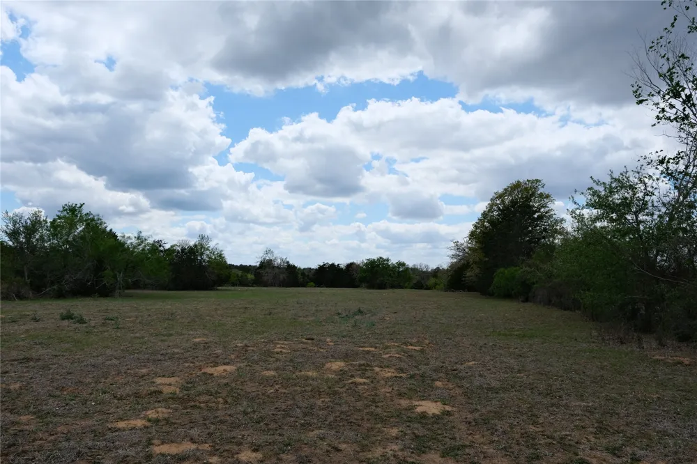446 Herron Trail McDade, TX 78650