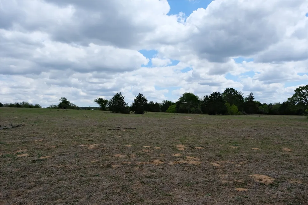 446 Herron Trail McDade, TX 78650