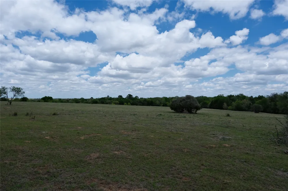446 Herron Trail McDade, TX 78650
