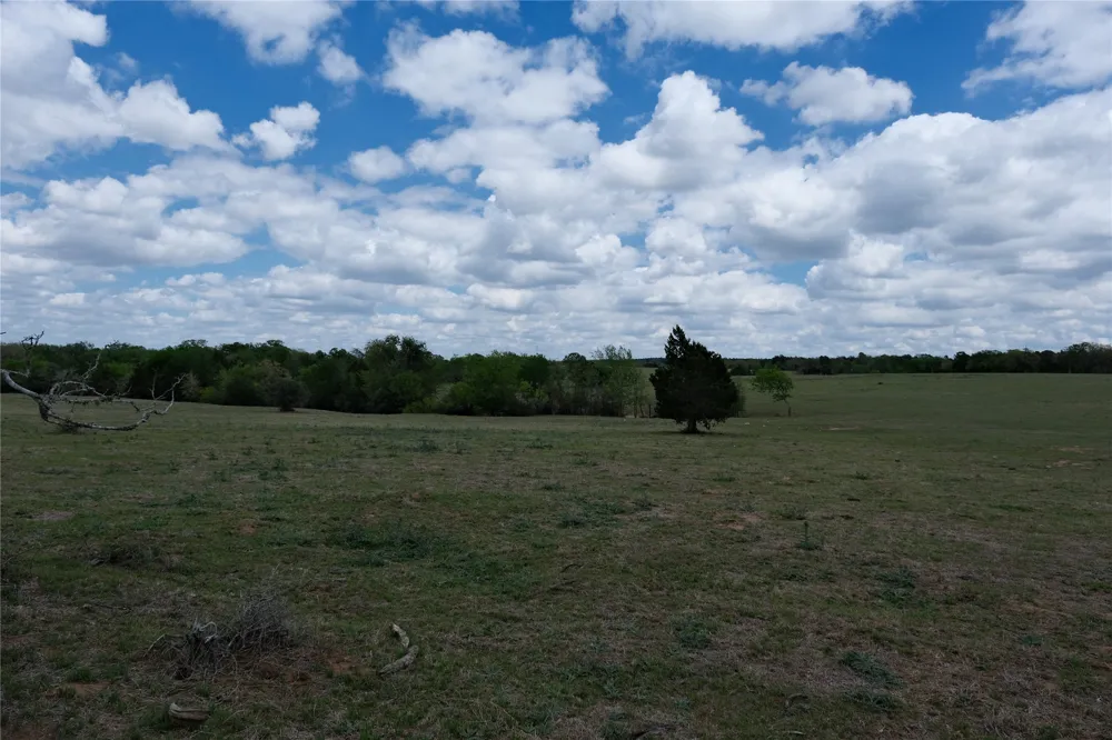 446 Herron Trail McDade, TX 78650
