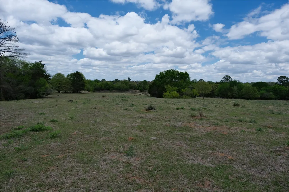 446 Herron Trail McDade, TX 78650