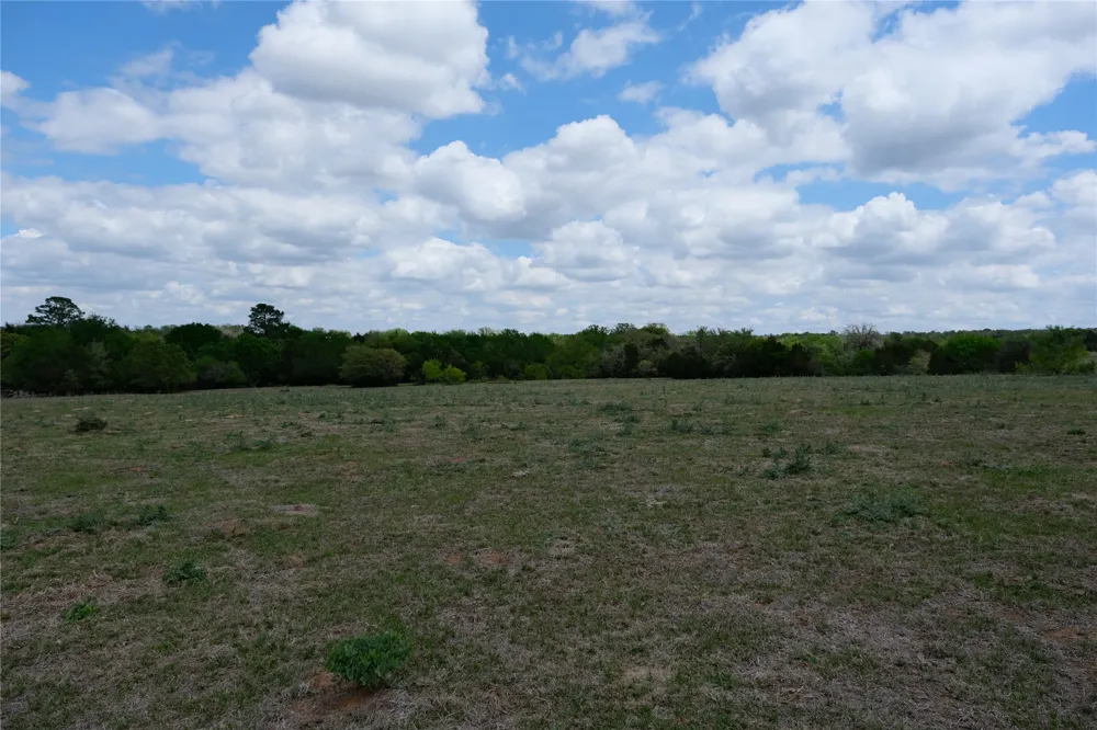 446 Herron Trail McDade, TX 78650