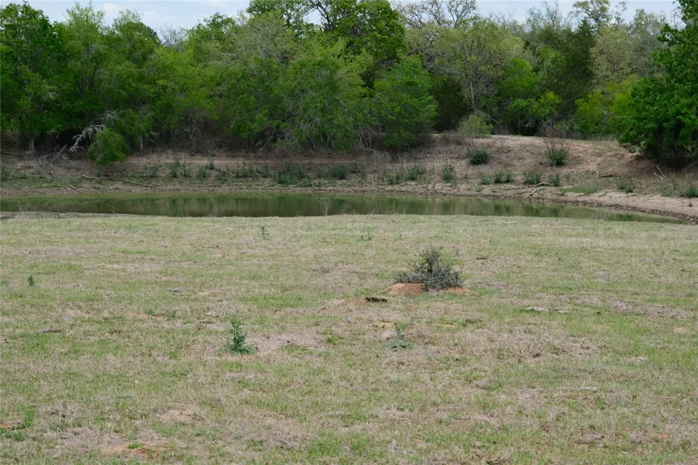 446 Herron Trail McDade, TX 78650