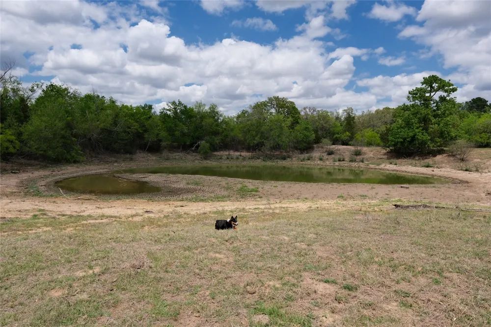446 Herron Trail McDade, TX 78650